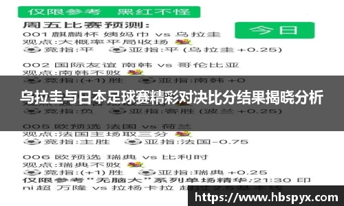 熊猫体育